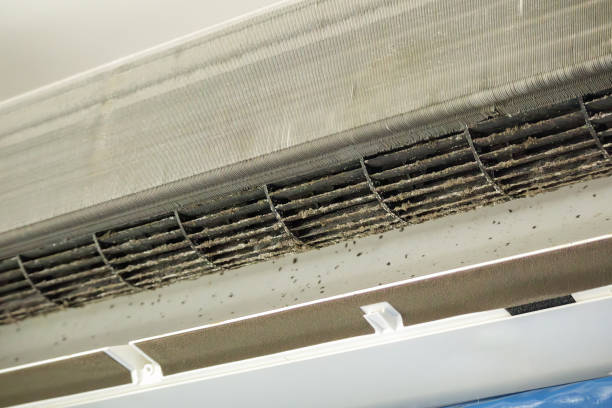 Ductwork Cleaning Services in Goulding, FL